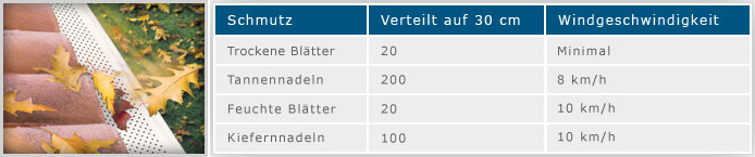 Dachrinne, Laubschutz, Dachrinnenschutz, verstopfte Dachrinne, gutter-stark, Deutschland, Luxemburg, Belgien, Niederlande, Holland,
									Frankreich, Spanien, Schweiz, Österreich, halbrund, halbrunde Dachrinne